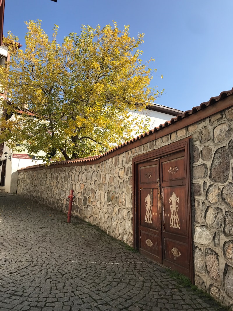Kale kancalı Kilitli Kapı